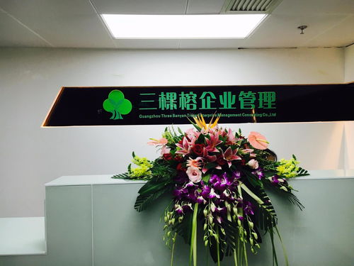 專業賦能，助力成長 廣州三棵榕企業管理顧問的價值與實踐